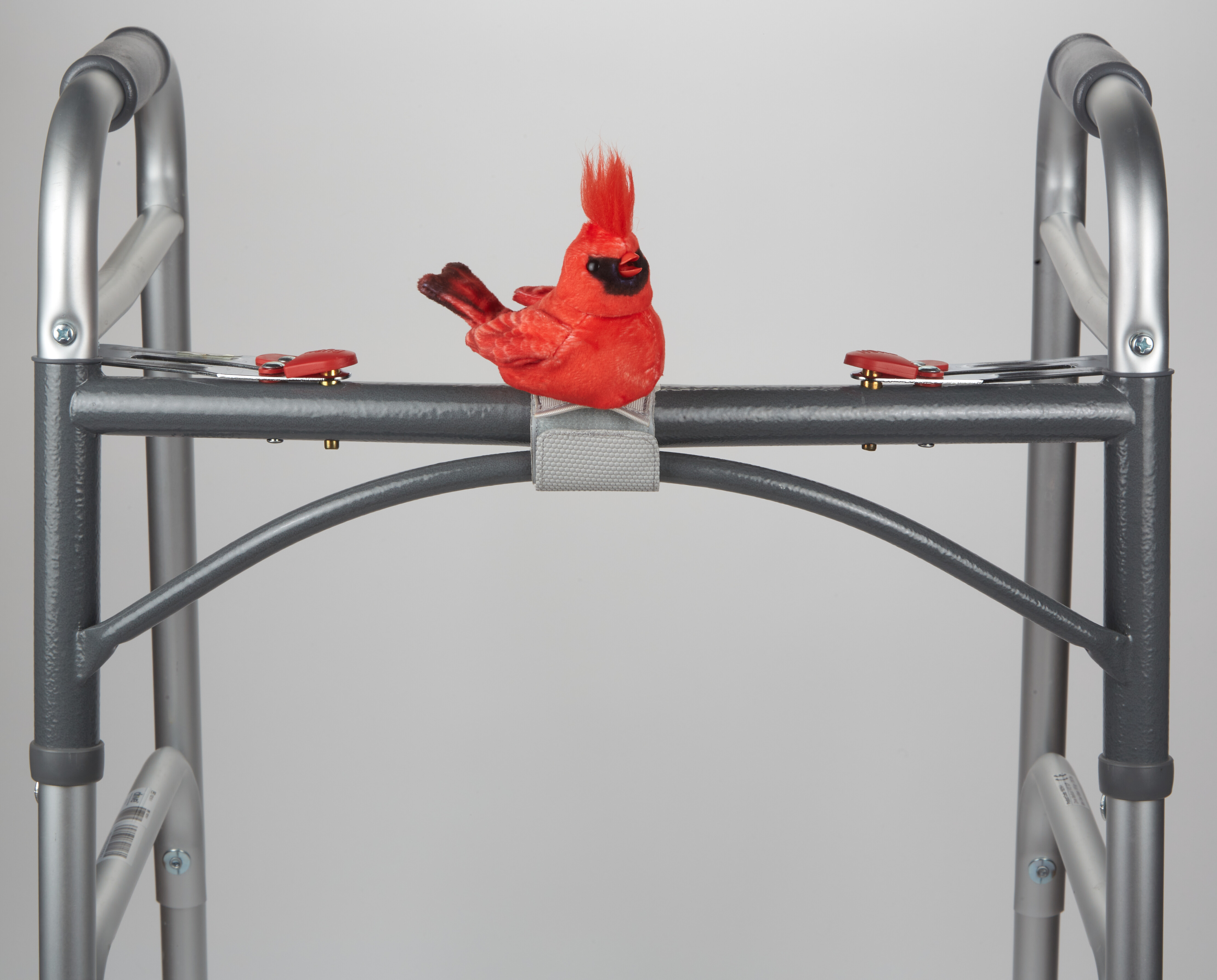 Cardinal - Walker Squarker