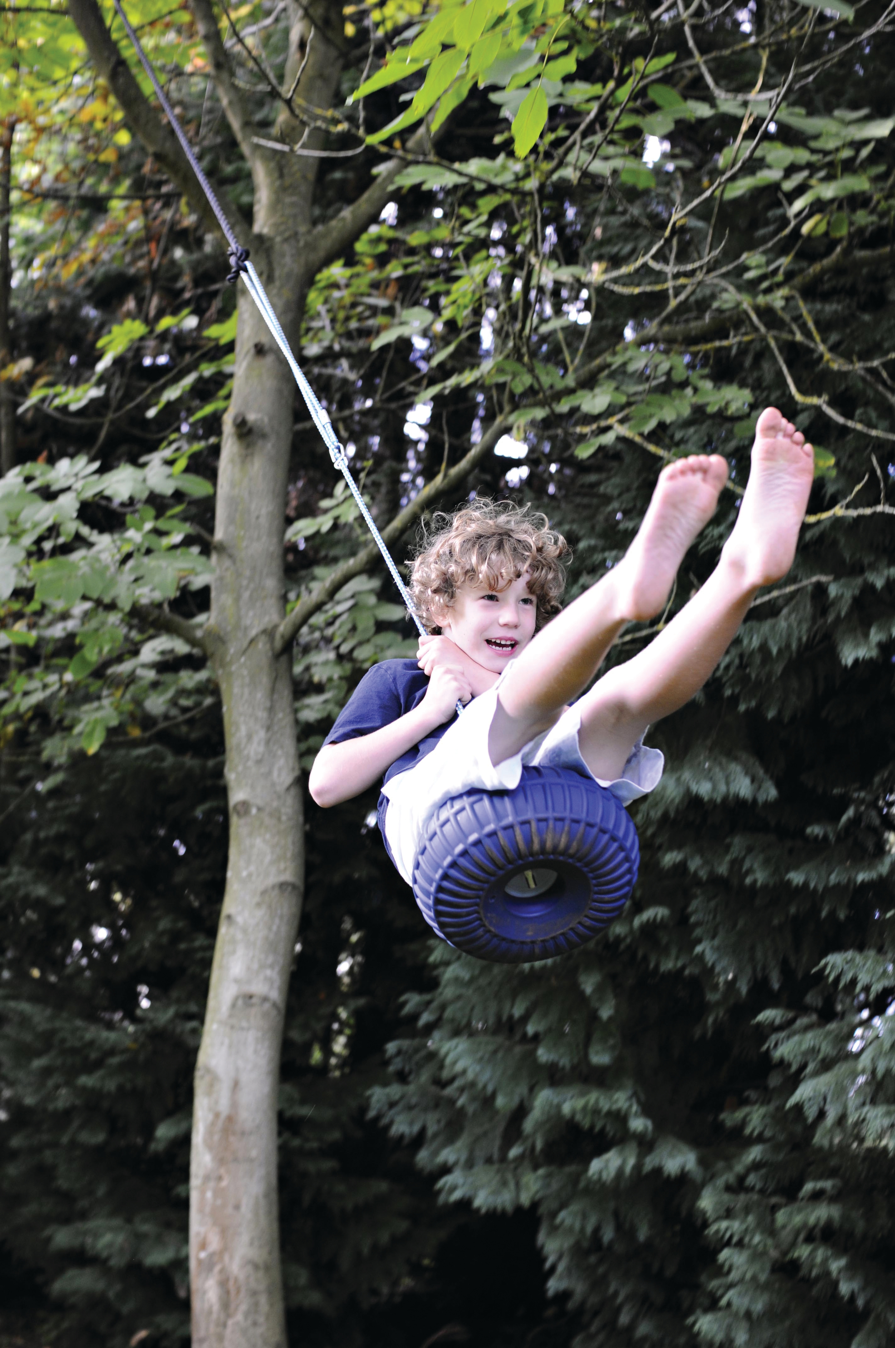 Monkey Swing