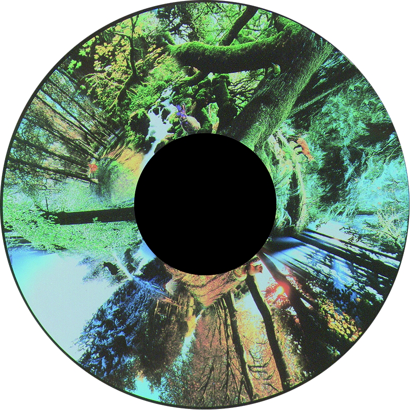 Seasoned Woods