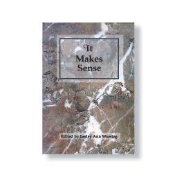 It Makes Sense - Books Sensory Toy