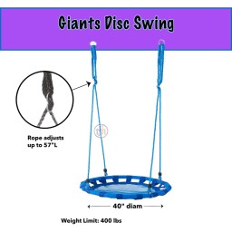 Giants Disc Swing Giants Disc Swing