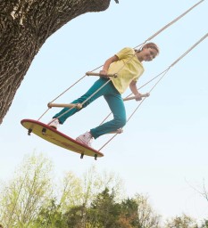 Air Rider Surf Swing