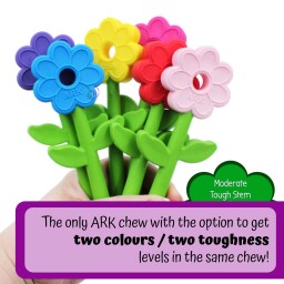 Flower Wand Chewy Collection Flower Wand Chewy Collection