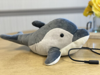 Danny the Dolphin - Switch Adapted Toy Danny the Dolphin - Switch Adapted Toy