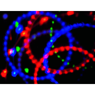 LED projektor