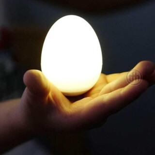 LED Light Egg Shape