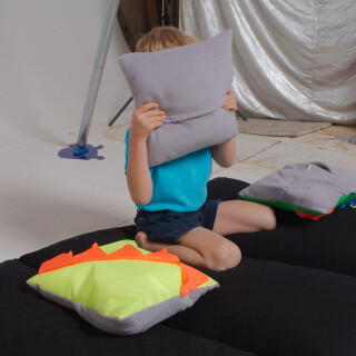 Noisy Pillows