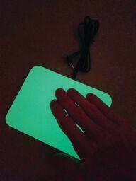 Pal Pad Small
