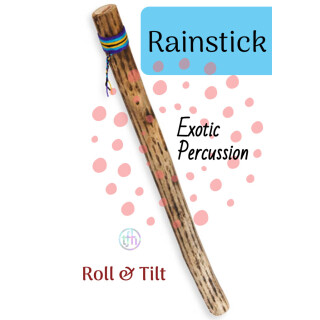 Rain Stick