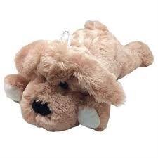 Sensory Puppy