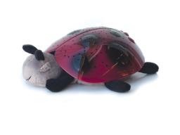 Star Ladybug - Illumination Sensory Toy Star Ladybug - Illumination Sensory Toy
