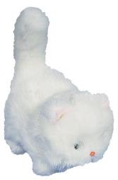 Clara the Cat Reward
