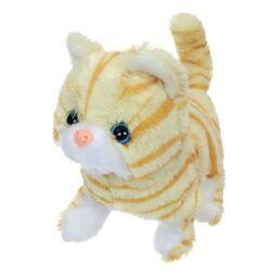 Cat Reward