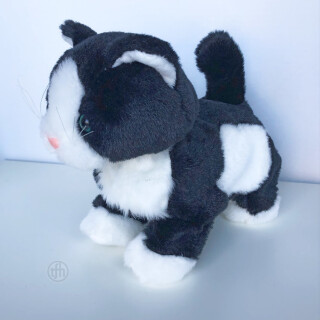 Katten Klara - kontaktstyrd