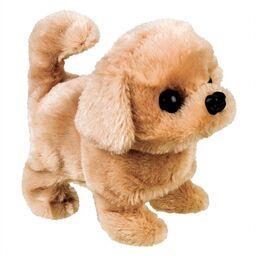 Dog Reward