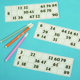 Large Print Bingo Cards