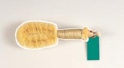 Massaging Body Brush