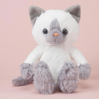 Hello White Cat