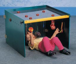 Low Vision Motor Planning Den