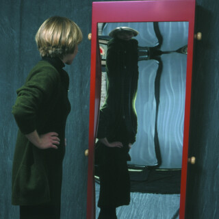Distortion Mirror