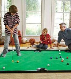 Indoor Golf Pool Game