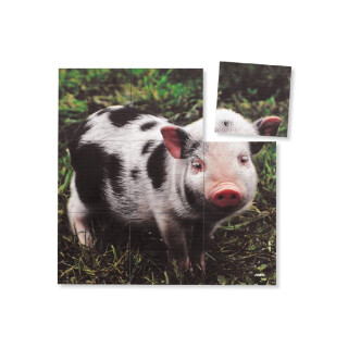 Magna Square Puzzles Pig - LIMITED SUPPLY