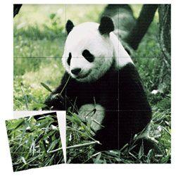 Magna Square Puzzles-Panda