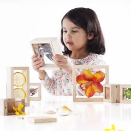 Treasure Blocks - Clear Learning Tool Treasure Blocks - Clear Learning Tool