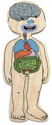 Your Body - Girl - Anatomical Learning Puzzle