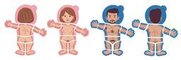 Ani-Body (adult)