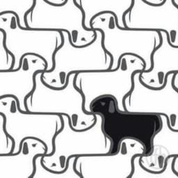 Light Learning Tessellations