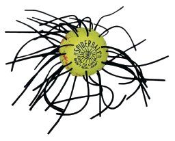 Spindelboll