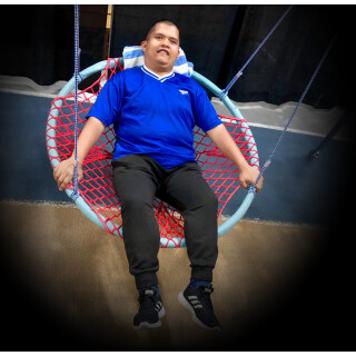 Nest Swing
