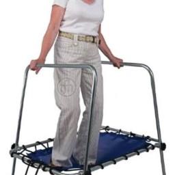 Unstable Gait Trainer