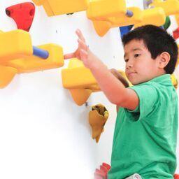 Adaptive Climbing Wall - 12'