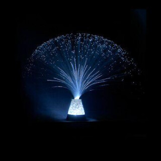 Fiber Optic Light