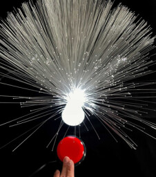 Fiber Optic Light Reward Fiber Optic Light Reward