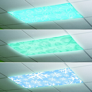 Light Filters 4 Seasons - LIMITED SUPPLY