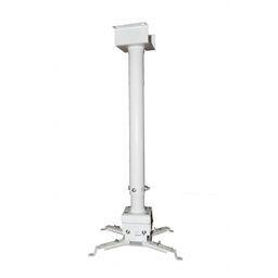 MotionLearn Extendable Mounting Pole
