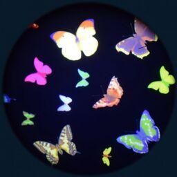 Projector Effects Wheel, Papillon Colour