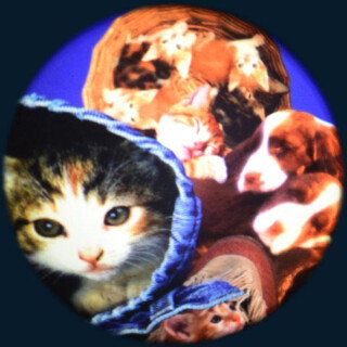 Projector Effects Wheel, Soft Fluffy Pets