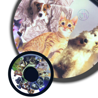 Projector Effects Wheel, Soft Fluffy Pets