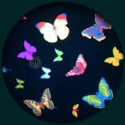 Projection Effects Wheel - Butterfly Kaleidoscope