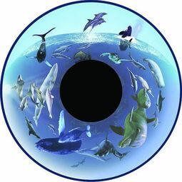 Projector Effects Wheel, Dolphins and Whales Projector Effects Wheel, Dolphins and Whales