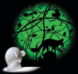 3 Sensory Graphic Projector Wheels