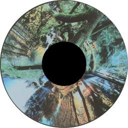 Seasoned Woods