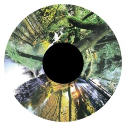 Effects Wheel, Seasonal Forest Effects Wheel, Seasonal Forest