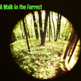 Effects Wheel, Seasonal Forest