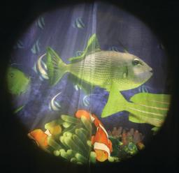 Effects Wheel, Tropical Fish Effects Wheel, Tropical Fish