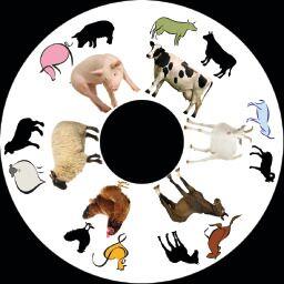 6 Inch Projector Wheel - Farm Scene